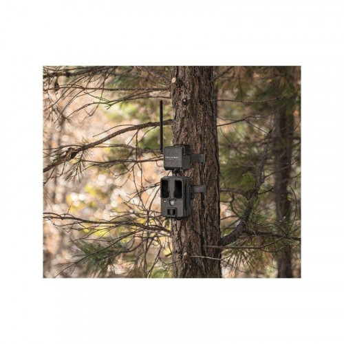 Adaptador celular Spypoint Cell-Link LTE para cámaras de rastreo sin conexión