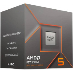 AMD Ryzen 5 8400F Procesador