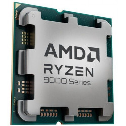 AMD Ryzen 5 9600X