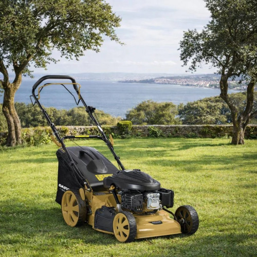 Anova Cortacesped gasolina Carnota 51 cm autopropulsado 173 cc