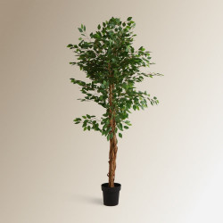 Árbol artificial Ficus Benjamina 180 cm EuroVolter Verde
