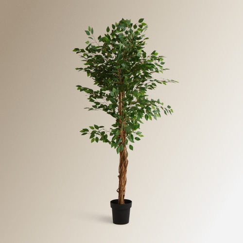 Árbol artificial Ficus Benjamina 180 cm EuroVolter Verde