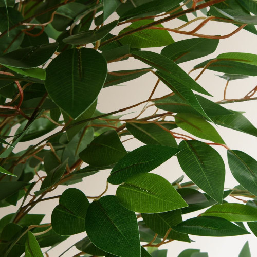 Árbol artificial Ficus Benjamina 180 cm EuroVolter Verde