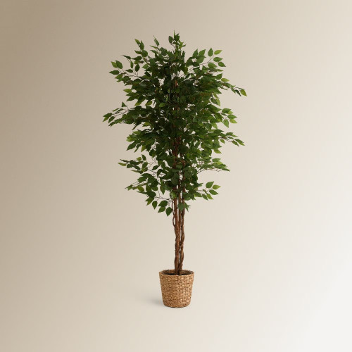 Árbol artificial Ficus Benjamina 180 cm EuroVolter Verde