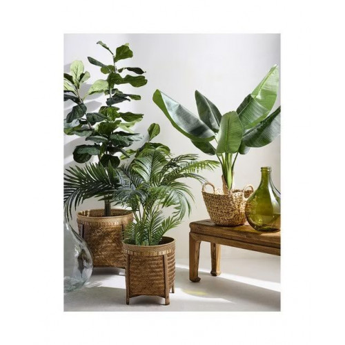 Árbol artificial Ficus Benjamina 180 cm EuroVolter Verde