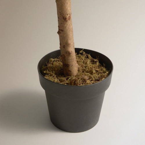 Árbol de olivo artificial EuroVolter Verde