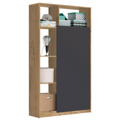 Armario recibidor Neo color roble gold y gris de 100x180x35 cm (Ancho x Alto x Fondo)