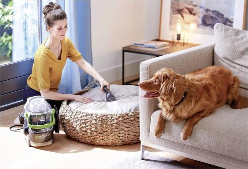 Aspirador Bissell SpotClean Pet Pro 15585