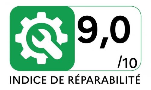 Aspirador Escoba Rowenta RH6929WO