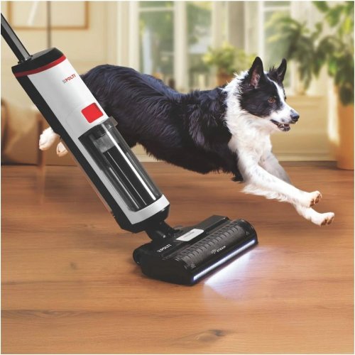 Aspirador Polti RollySteam WD10