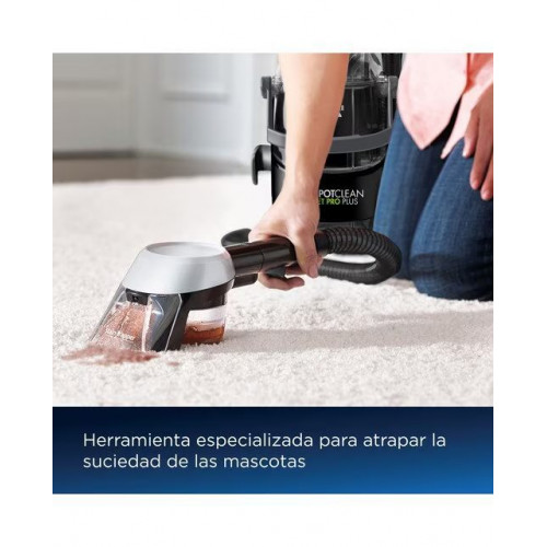 Aspirador quitamanchas para tapicerías Bissell Pet Pro Plus 37252 con manguera hydrorinse Verde / Negro