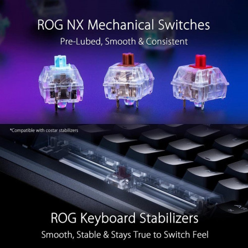 ASUS ROG Azoth Teclado Mecánico Gaming RGB Inalámbrico ROG NX Red Negro Teclado Francés AZERTY