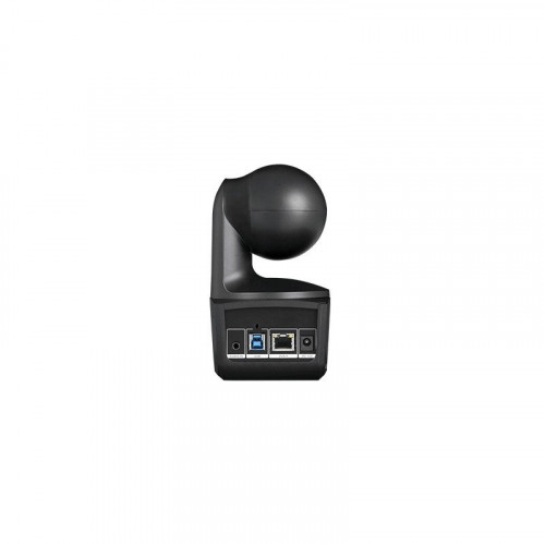 AVer - DL10 2 MP Negro 1920 x 1080 Pixeles 60 pps CMOS 25,4 / 2,8 mm (1 / 2.8