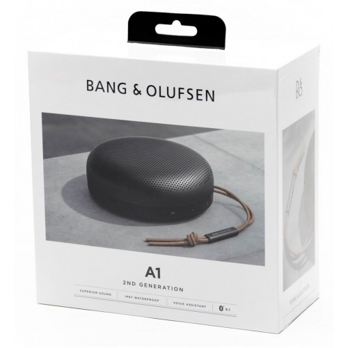 Bang & Olufsen Beosound A1 (2nd Generation)