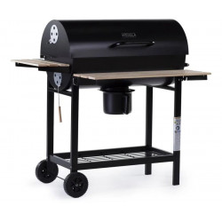 Barbacoa a carbón 
