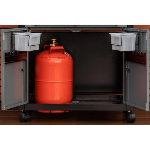 Barbacoa de gas 4 Series Premium S Campingaz