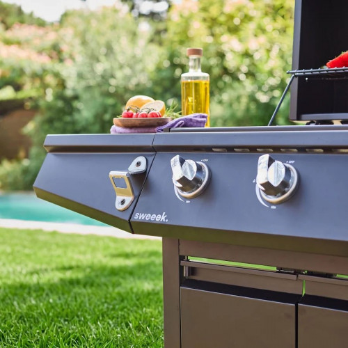 Barbacoa de gas de 3 quemadores con 1 quemador lateral