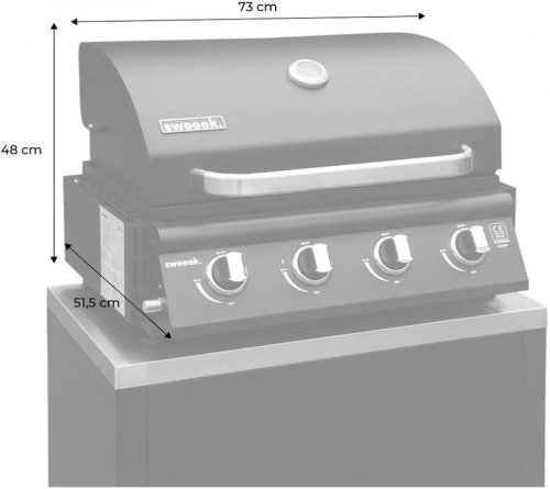 Barbacoa de gas de 4 quemadores de mesa + cocina exterior de acero