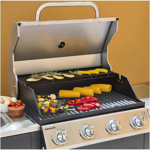Barbacoa de gas de 5 quemadores con 1 quemador lateral