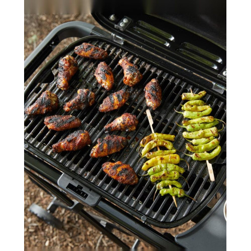 Barbacoa de gas Traveler Compact Antracita