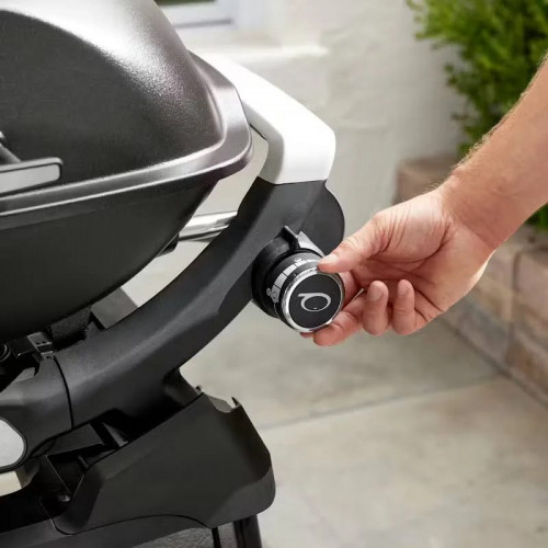 Barbacoa de gas Weber Q 2200N con soporte
