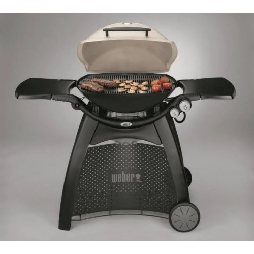 Barbacoa de gas Weber Q 3000 Titanium