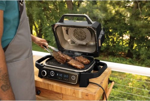 Barbacoa Ninja Woodfire og701eu