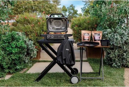 Barbacoa Ninja Woodfire og701eu