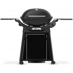 Barbacoa Weber de gas Q 3200N+ con carro
