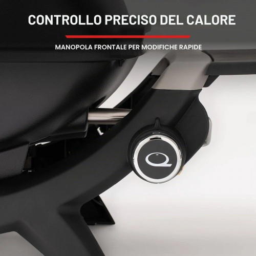 Barbacoa Weber de gas Q1200N