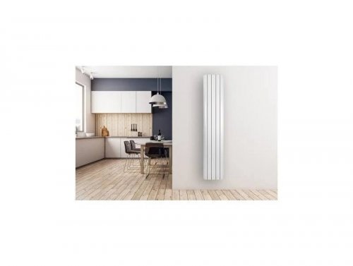 Baxi Radiador aluminio vertical tv1800 5 Elementos