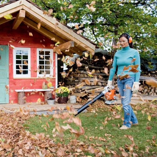 BG 56 Soplador STIHL