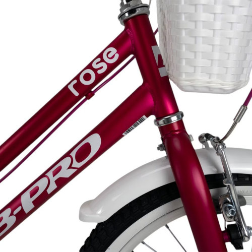 Bicicleta de niña 20