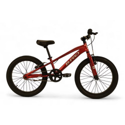 Bicicleta de niños 20