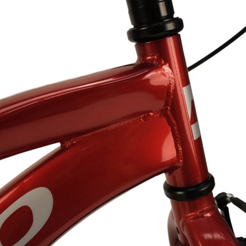 Bicicleta de niños 20