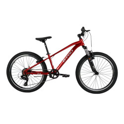 Bicicleta de niños 24