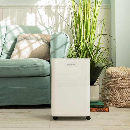 BigDry 8000 Expert Connected