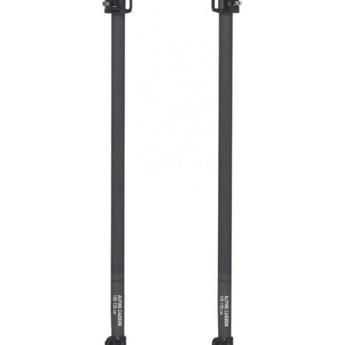 Black Diamond Alpine Carbon Cork Trekking Poles (2019)