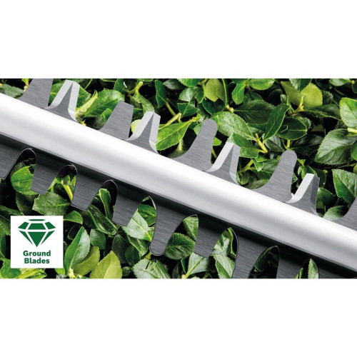 Bosch AdvancedHedgeCut 65 (06008C0801)