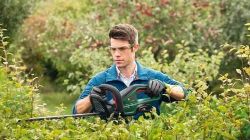 Bosch Cortasetos sin Cable