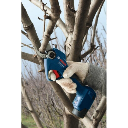 Bosch GGP 12V-25 (06008D8101)