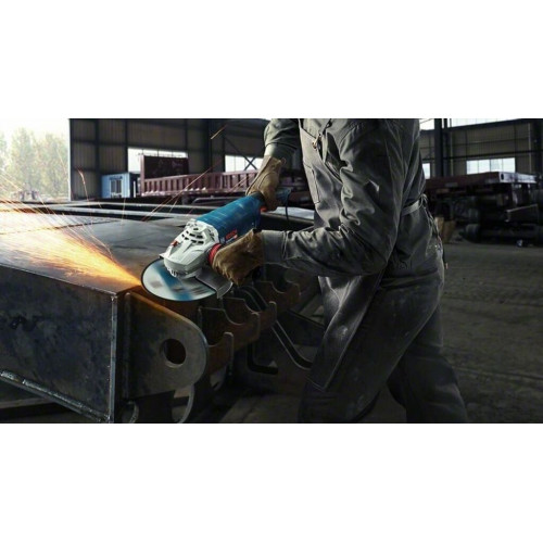Bosch GWS 24-230 P (06018C3100) GWS