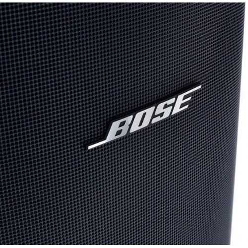 Bose DesignMax DM8S