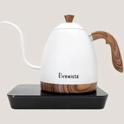 Brewista Hervidor Artisan