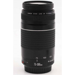 Canon EF 75-300mm f4.0-5.6 III