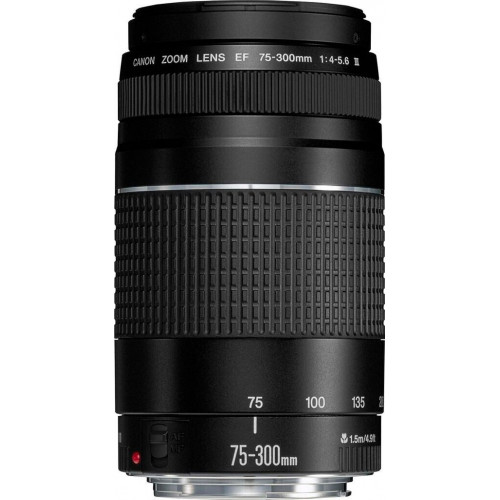 Canon EF 75-300mm f4.0-5.6 III