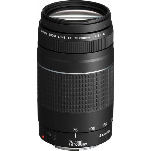 Canon EF 75-300mm f4.0-5.6 III