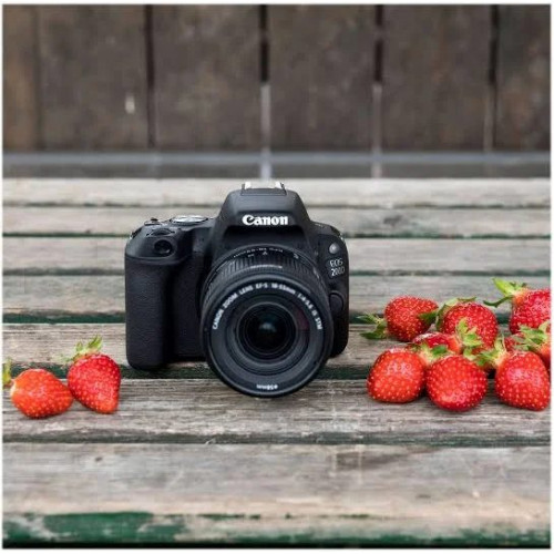 Canon EOS 200D + 18-55 IS STM
