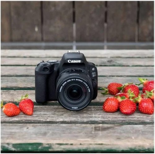 Canon EOS 200D + EF-S 18-55mm f/3.5-5.6 III Juego