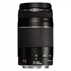 Canon Objetivo EF 75-300mm F4-5.6 III